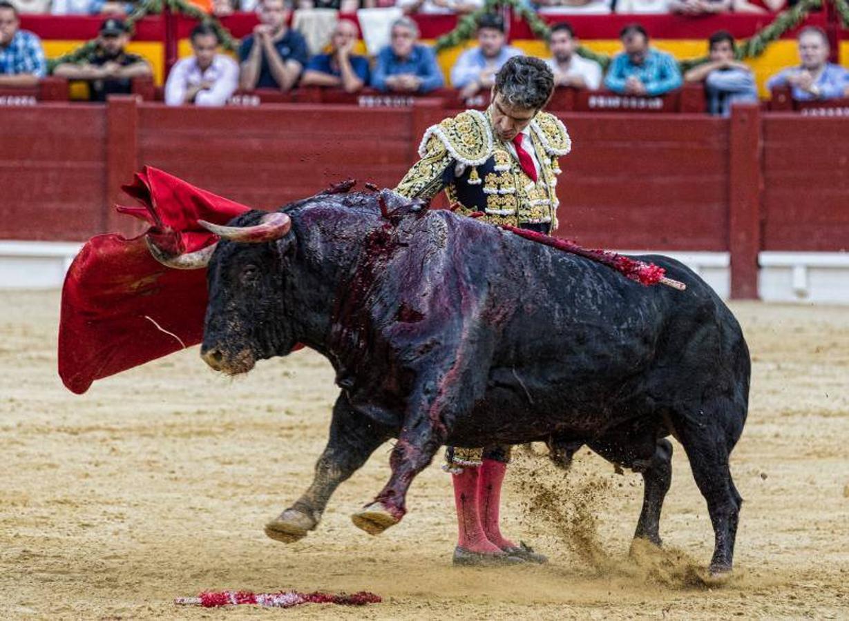 José Tomás deslumbra a Alicante