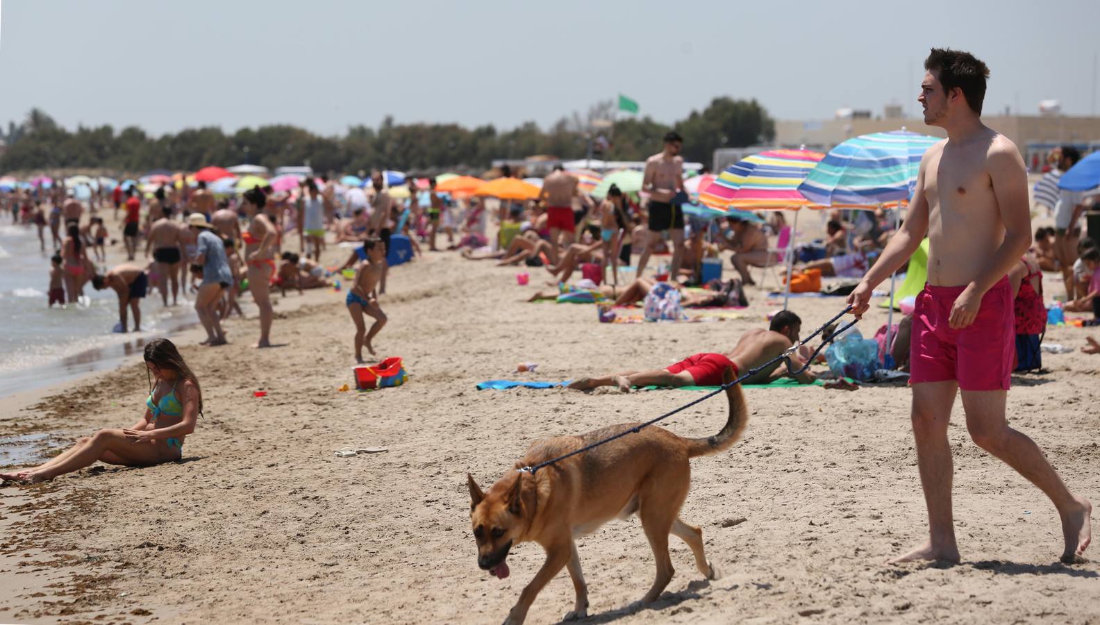 Fotos de la playa canina de Pinedo: perros autorizados