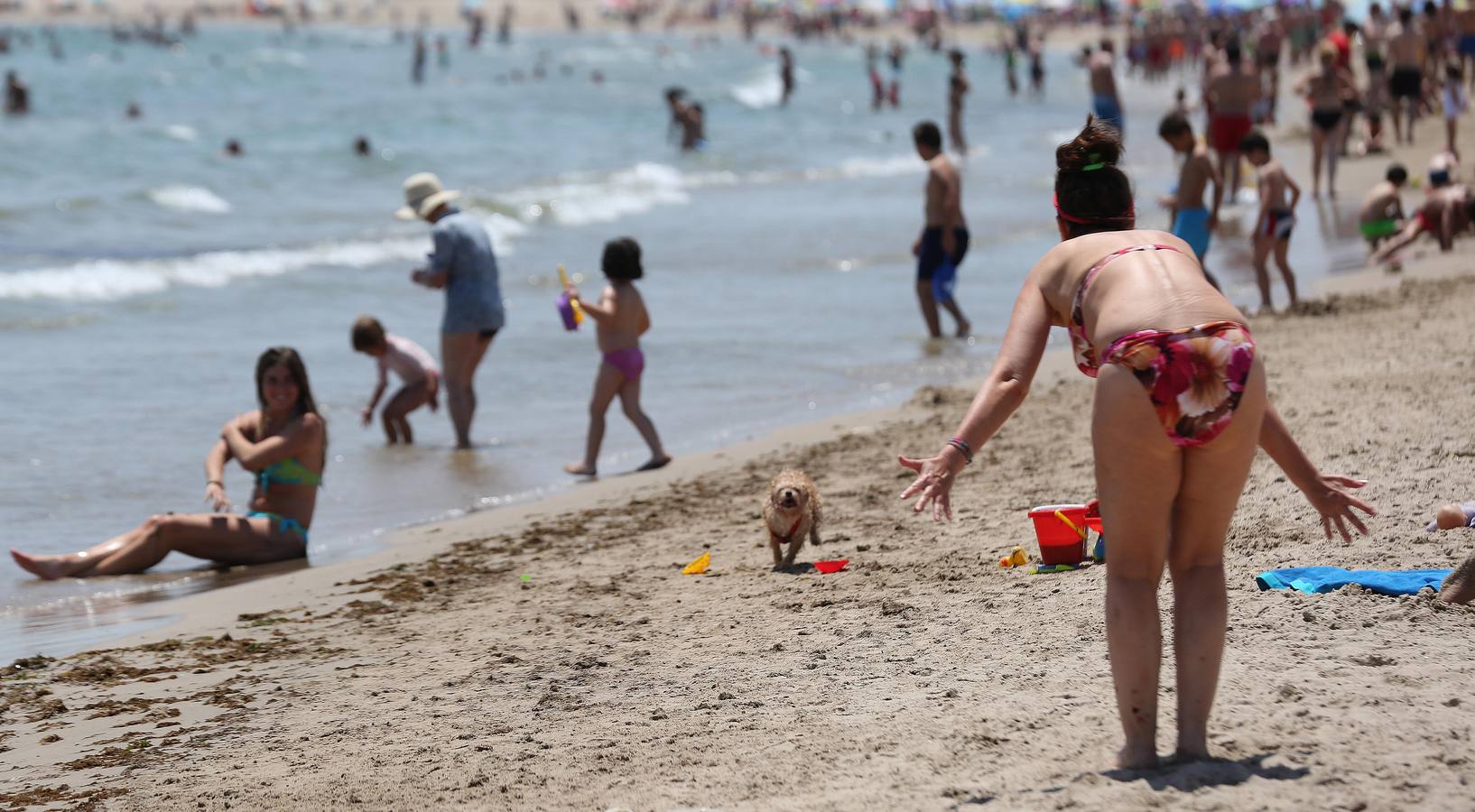 Fotos de la playa canina de Pinedo: perros autorizados