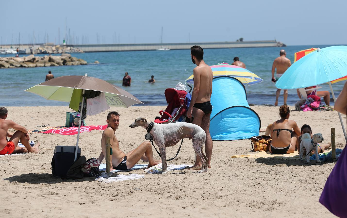 Fotos de la playa canina de Pinedo: perros autorizados