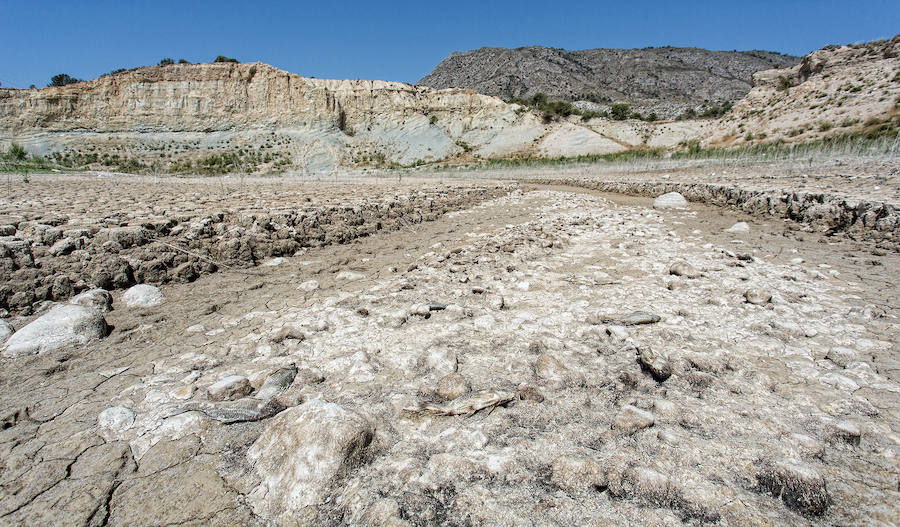 Sequía en el pantano del Amadorio, en Villajoyosa