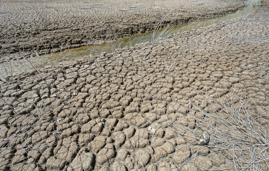 Sequía en el pantano del Amadorio, en Villajoyosa