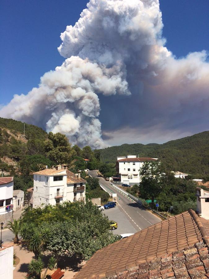 Incendio declarado en Artana