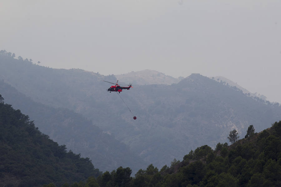 Incendio declarado en Artana