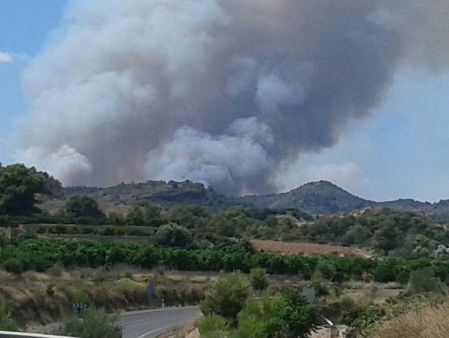 Incendio declarado en Artana