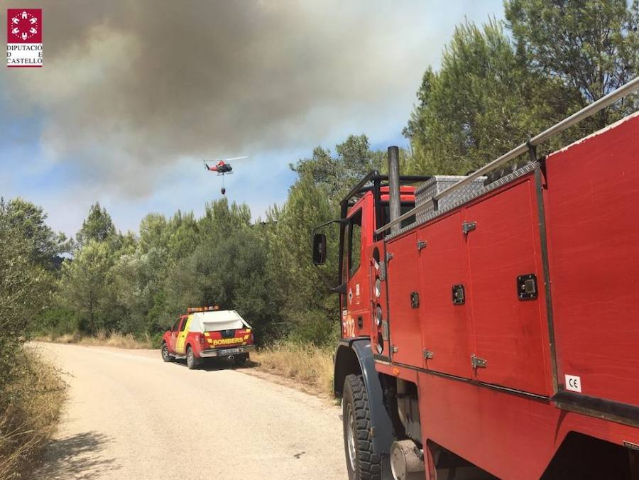 Incendio declarado en Artana