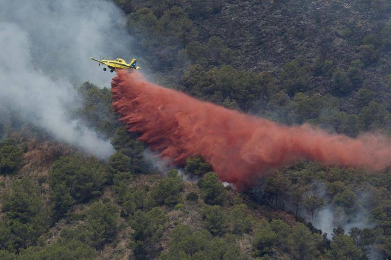 Incendio declarado en Artana