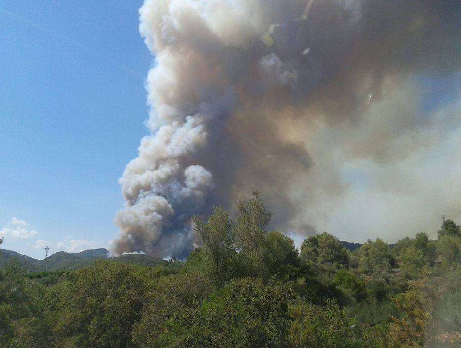 Incendio declarado en Artana