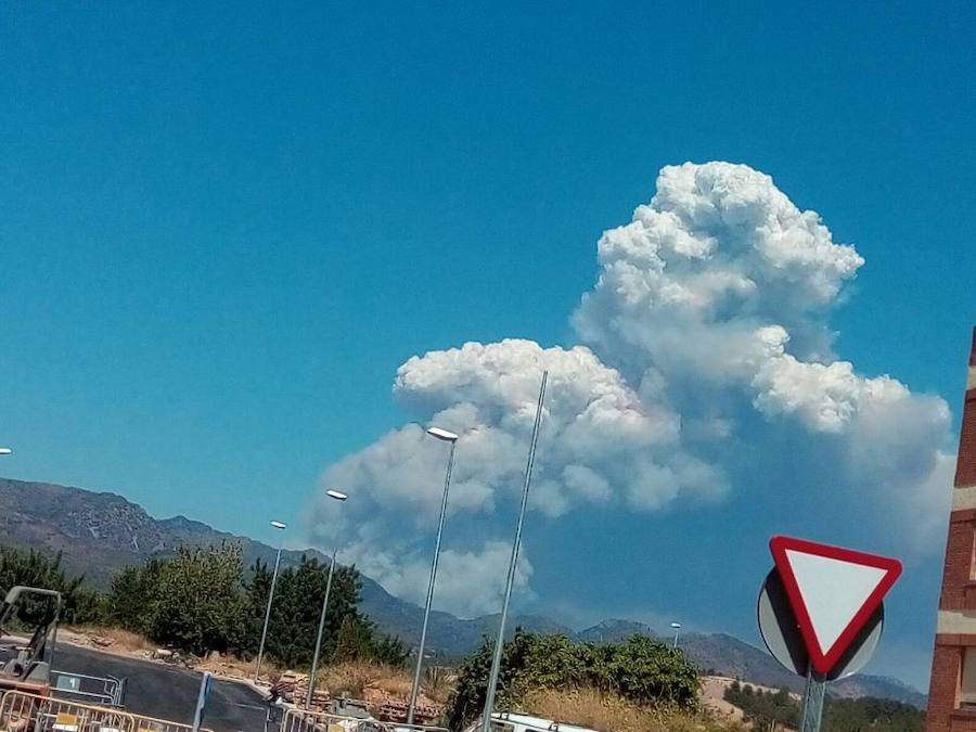 Incendio declarado en Artana