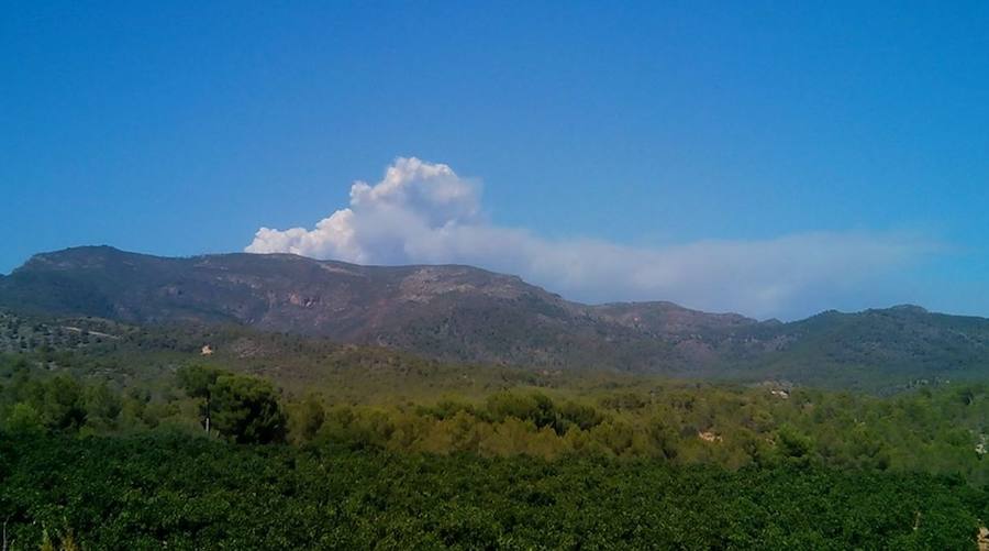 Incendio declarado en Artana