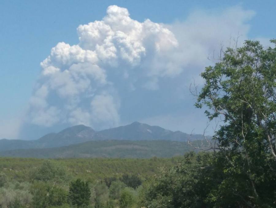 Incendio declarado en Artana