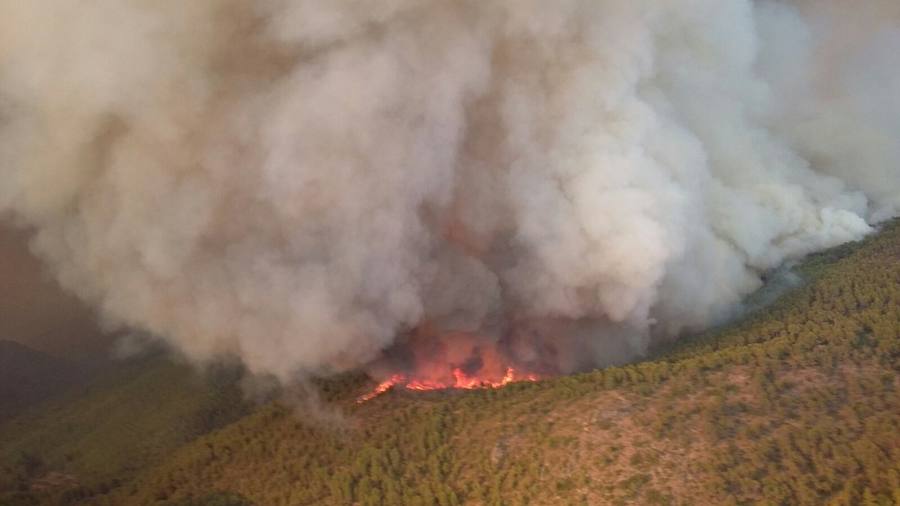 Incendio declarado en Artana