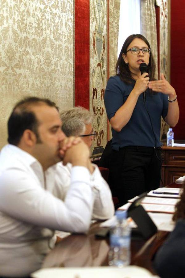 Pleno del Ayuntamiento de Alicante