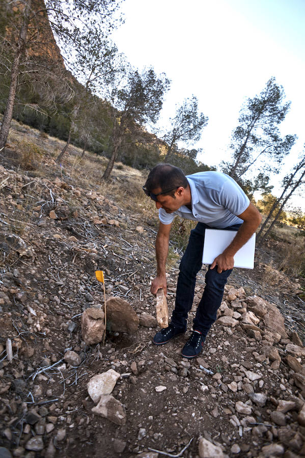 Redován pide fondos