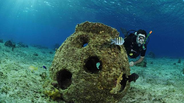 Fotos de bucear entre doradas y pulpos en la Malvarrosa