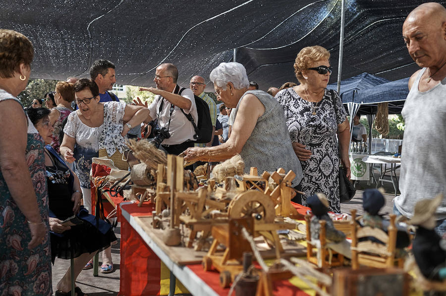 Jornada dedicada a la cultura del cáñamo