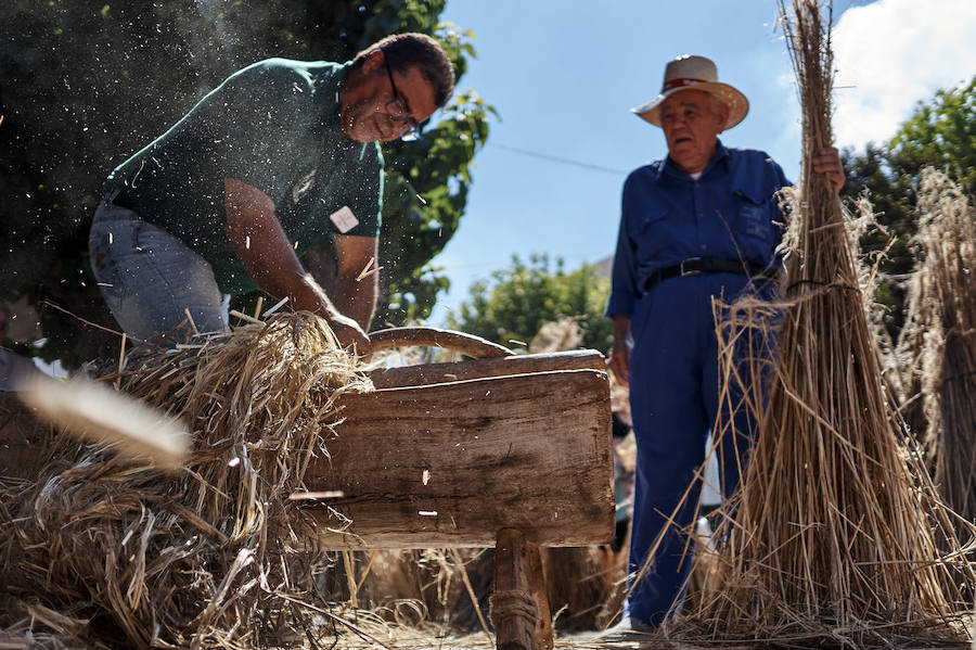 Jornada dedicada a la cultura del cáñamo
