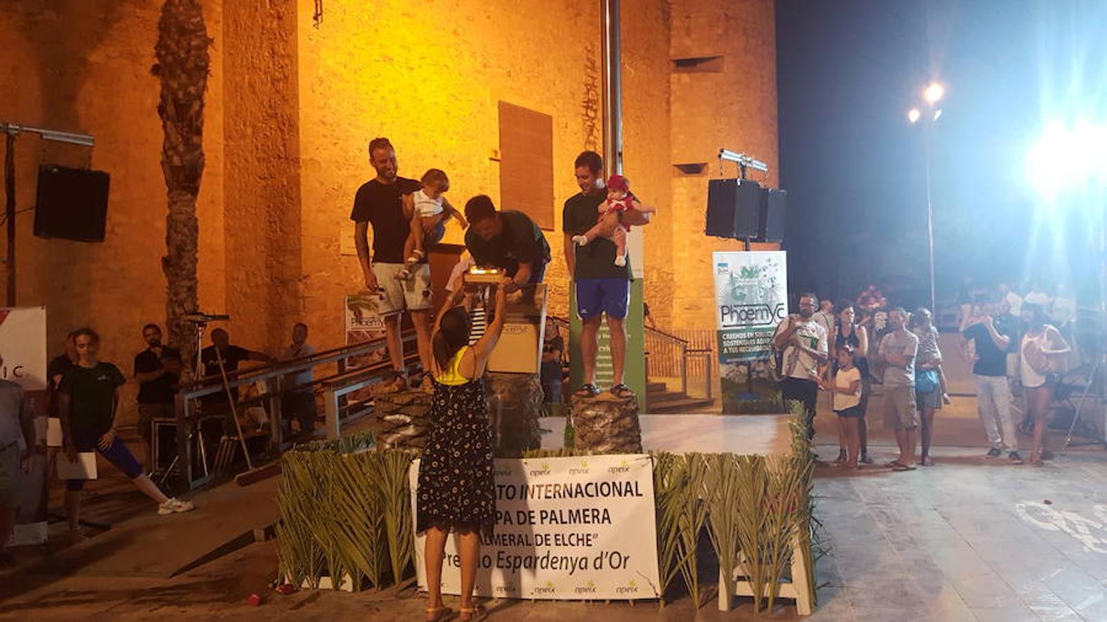 El certamen de trepa de palmera repite ganadores en Elche