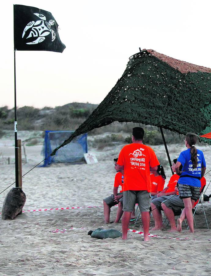 Voluntarios en el campamento de la playa de El Saler, donde ondea la bandera con la silueta de una tortuga boba. Al fondo, los nidos protegidos por una malla.