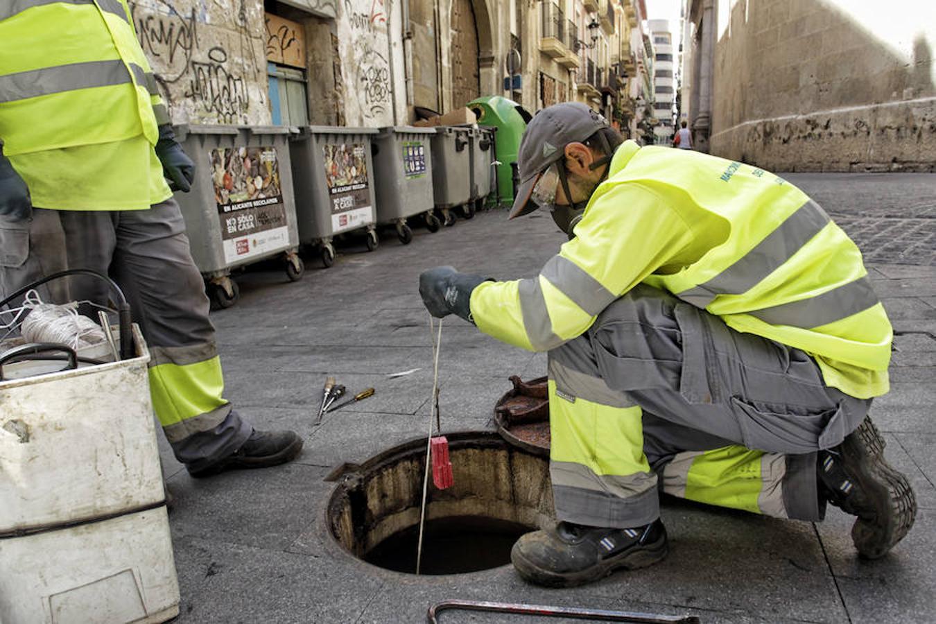 Limpieza y comprobación de los focos de ratas en el casco antiguo de Alicante