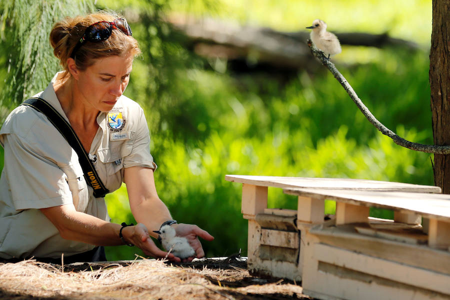 Fotos de Papahanaumokuakea, el mayor paraíso del planeta