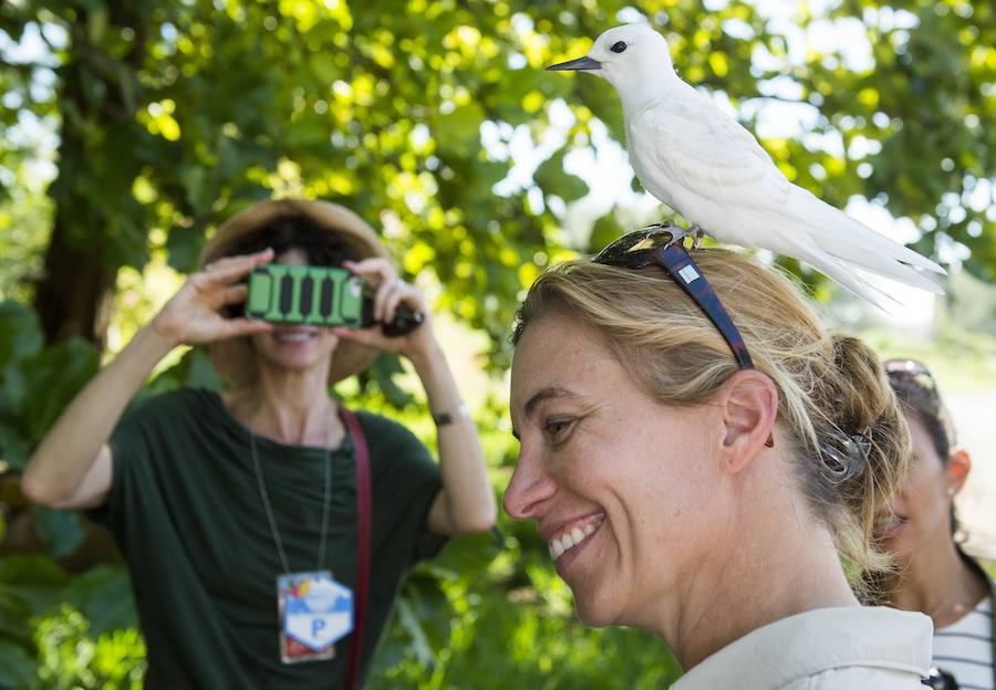 Fotos de Papahanaumokuakea, el mayor paraíso del planeta