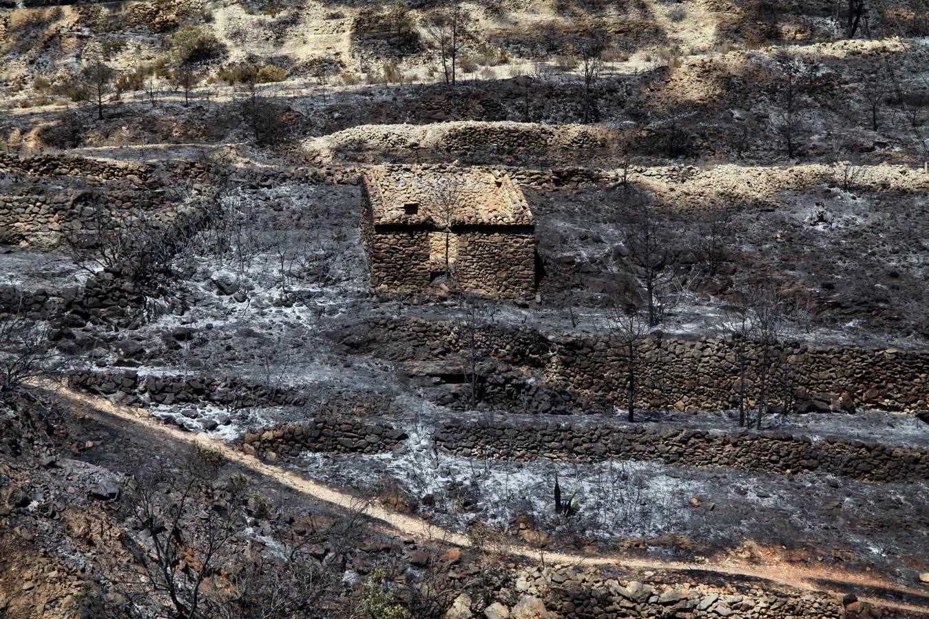 Fotos del incendio de la Granadella, en Xàbia y Benitatxell