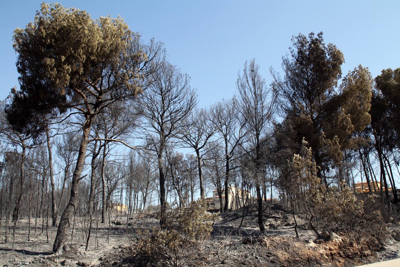 Fotos del incendio de la Granadella, en Xàbia y Benitatxell