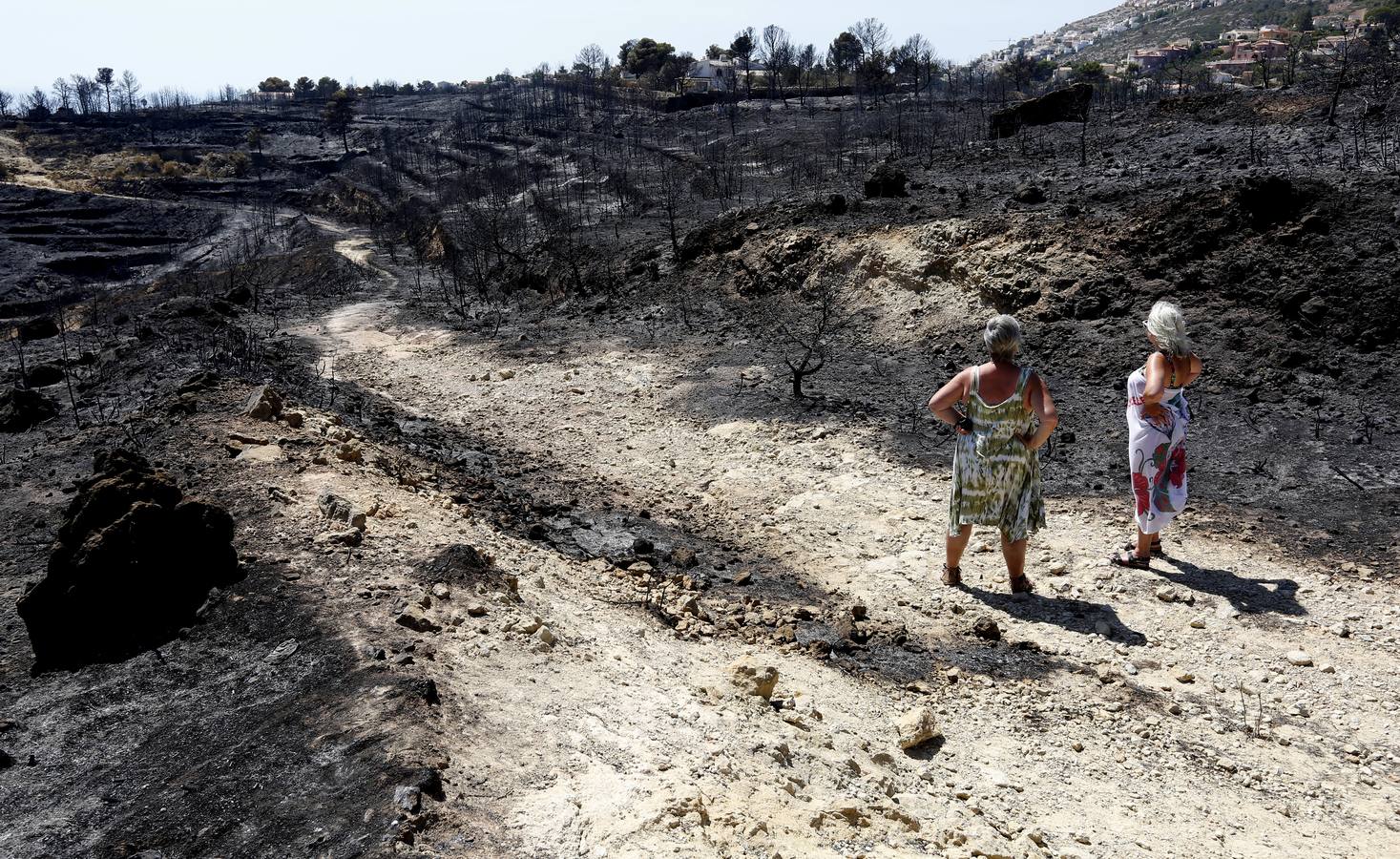 Fotos de la Granadella quemada en el incendio de Xàbia y Benitatxell