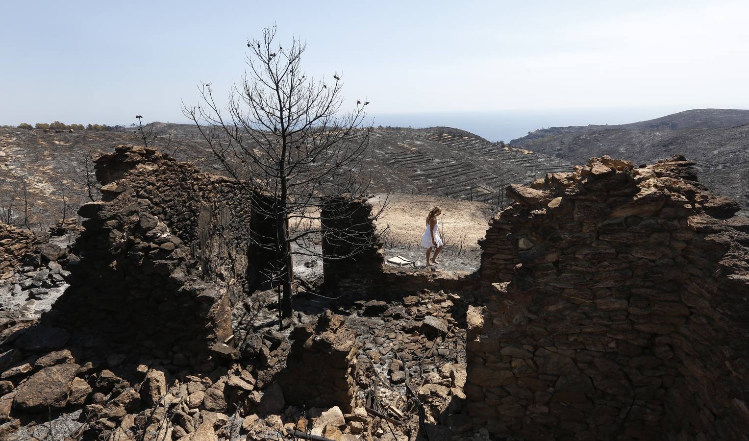 Fotos de la Granadella quemada en el incendio de Xàbia y Benitatxell