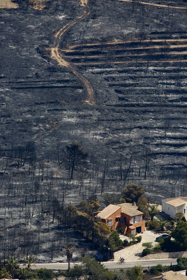 Fotos de la Granadella quemada en el incendio de Xàbia y Benitatxell