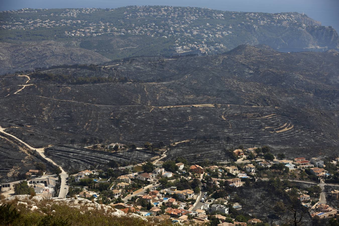 Fotos de la Granadella quemada en el incendio de Xàbia y Benitatxell