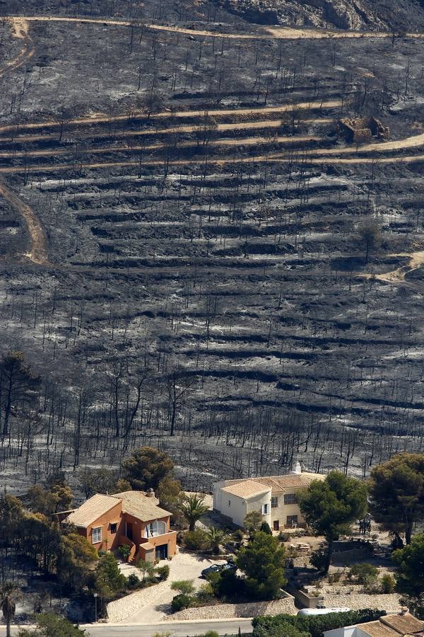 Fotos de la Granadella quemada en el incendio de Xàbia y Benitatxell