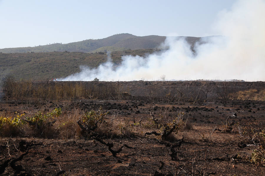 Fotos del incendio en el vertedero de Ramblars (Xàbia)