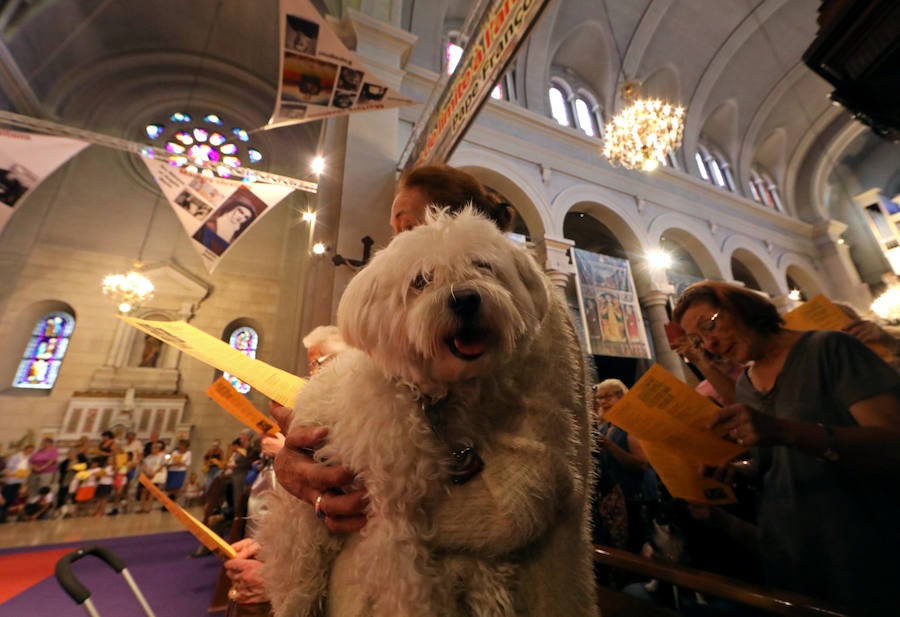 Pintoresca bendición de animales en una iglesia de Niza