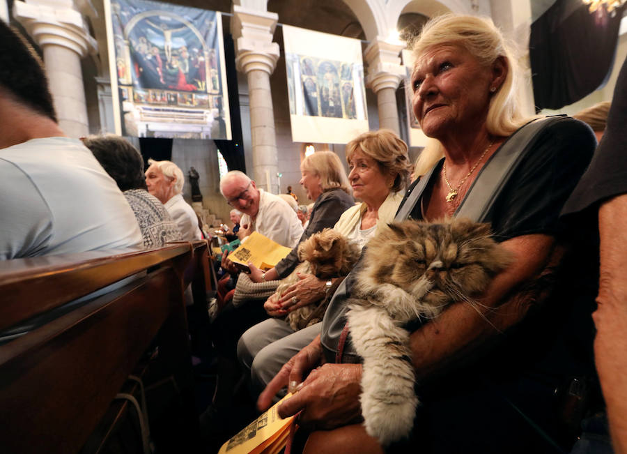 Pintoresca bendición de animales en una iglesia de Niza