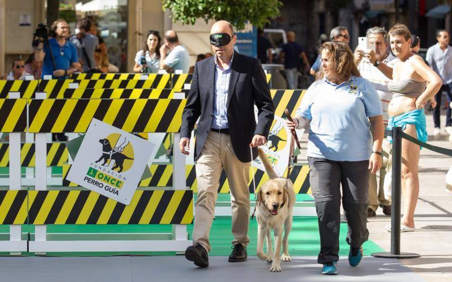 Exhibición de perros guía