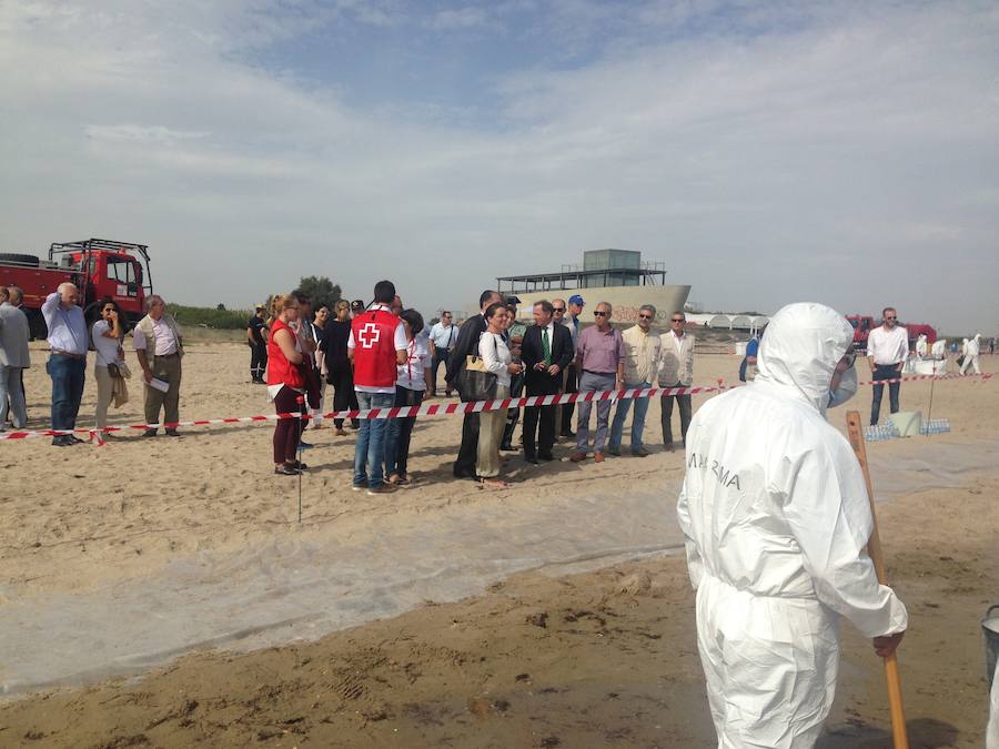 Fotos del simulacro contra la contaminación marina en el litoral de Valencia