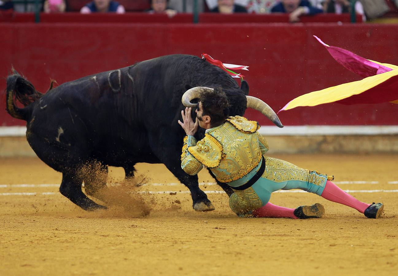 Juan José Padilla, cogido de nuevo por el toro al recibirlo a portagayola en la plaza de la Misericordia de Zaragoza, en la feria del Pilar. / AFP PHOTO / ALBERTO SIMON