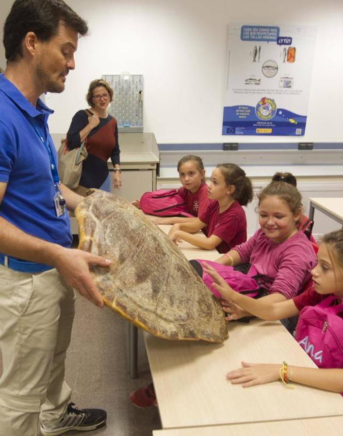 La Fundación Oceanogràfic nace para investigar y conservar el medio marino