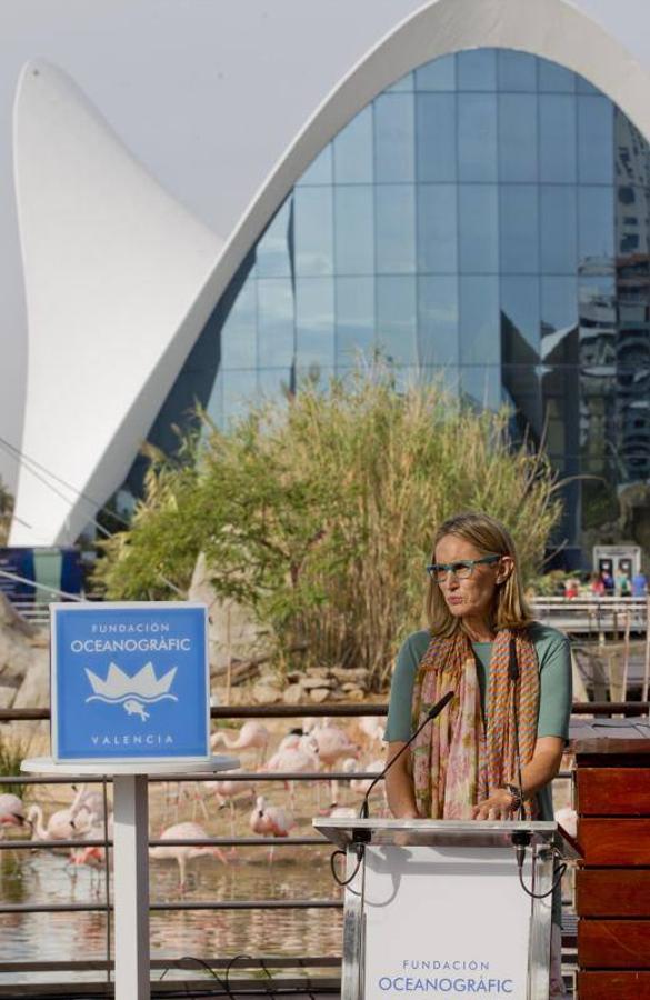La Fundación Oceanogràfic nace para investigar y conservar el medio marino