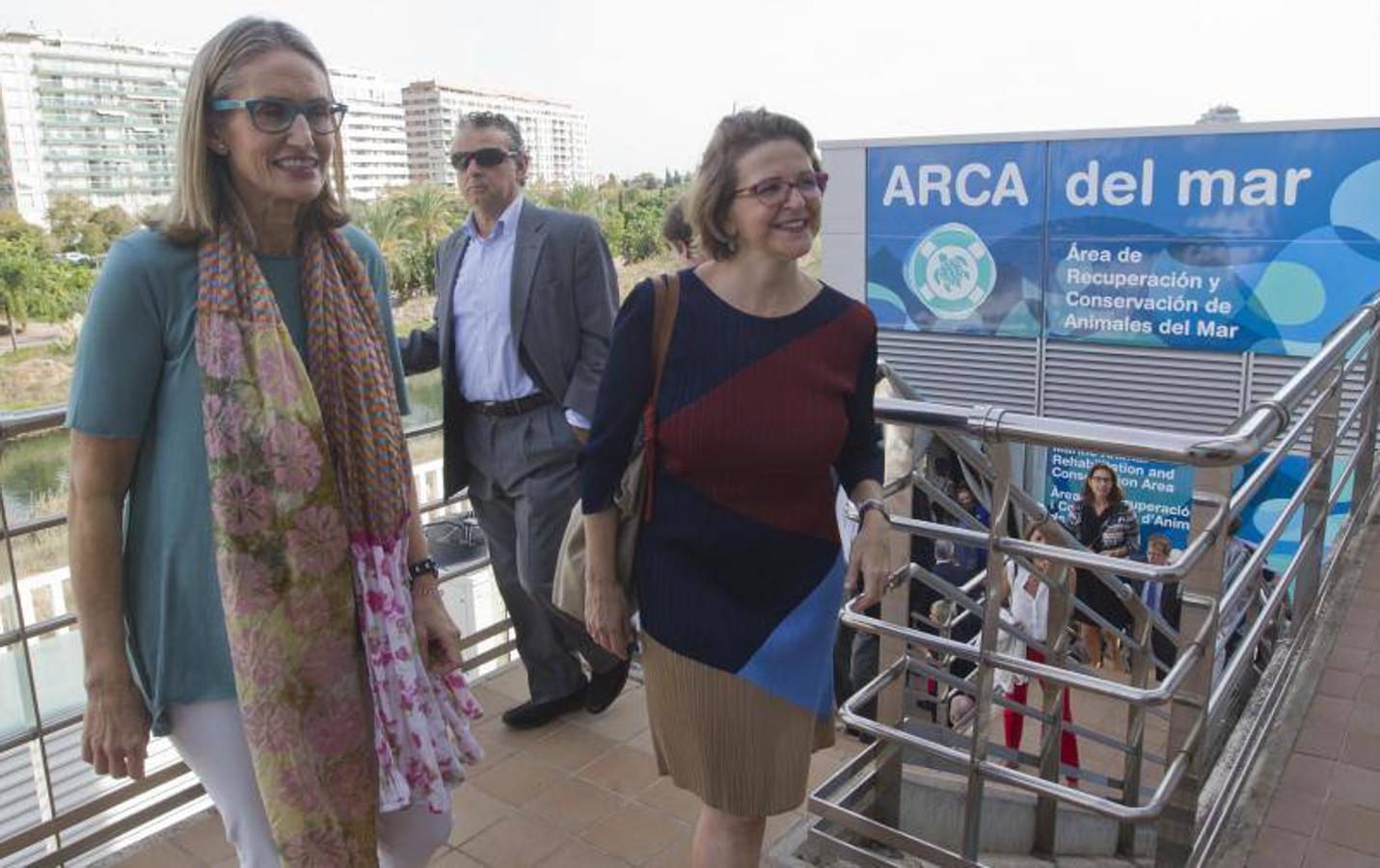 La Fundación Oceanogràfic nace para investigar y conservar el medio marino