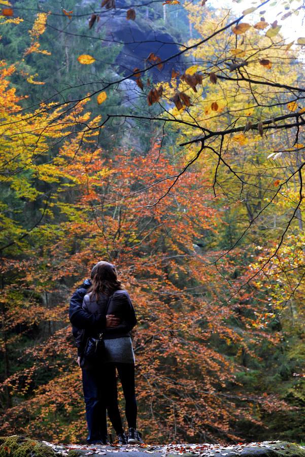 Los colores del otoño