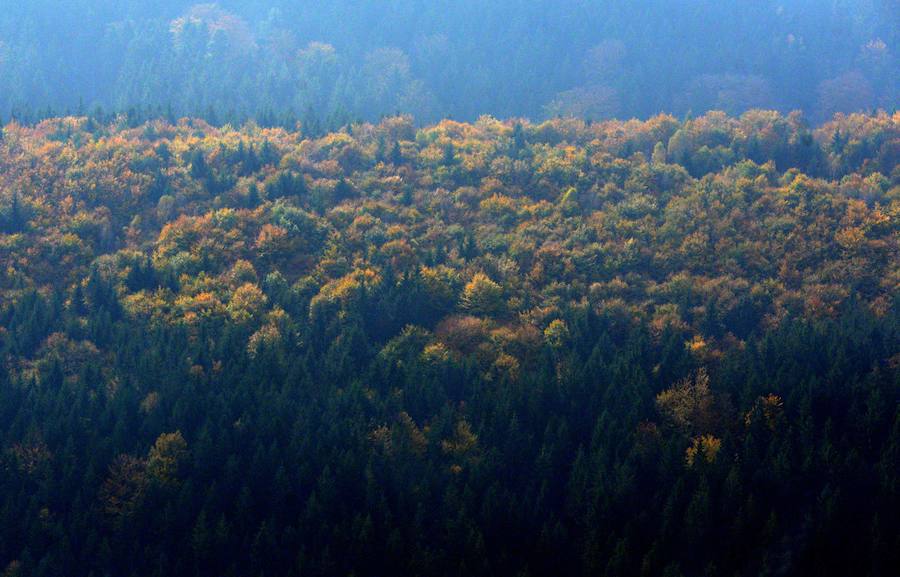 Los colores del otoño