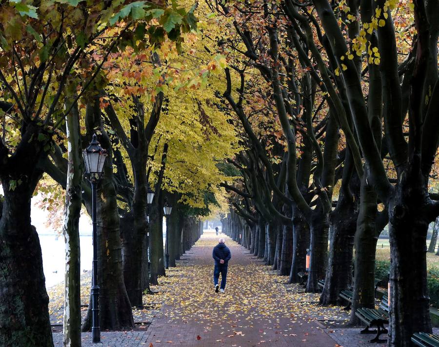 Los colores del otoño