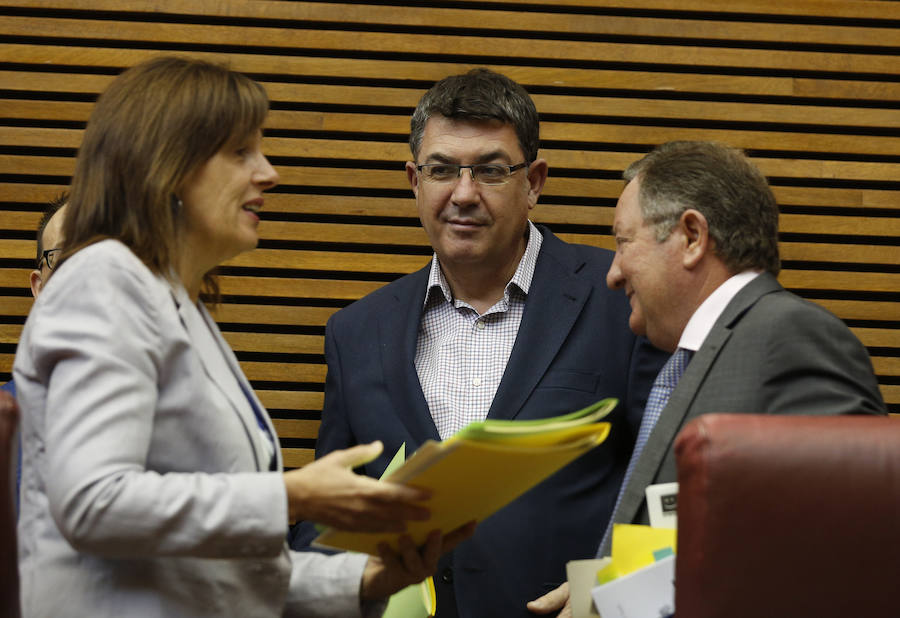 Fotos del pleno de les Corts