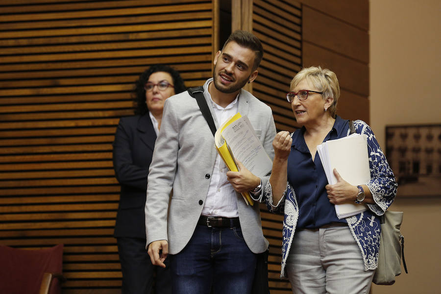 Fotos del pleno de les Corts