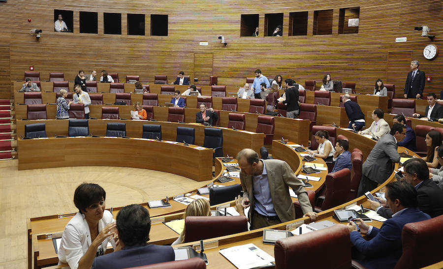 Fotos del pleno de les Corts