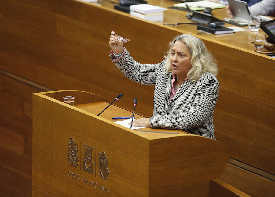 Fotos del pleno de les Corts