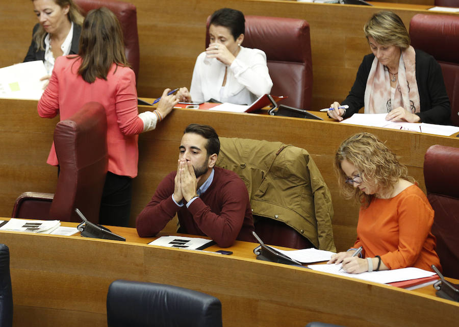 Fotos del pleno de les Corts